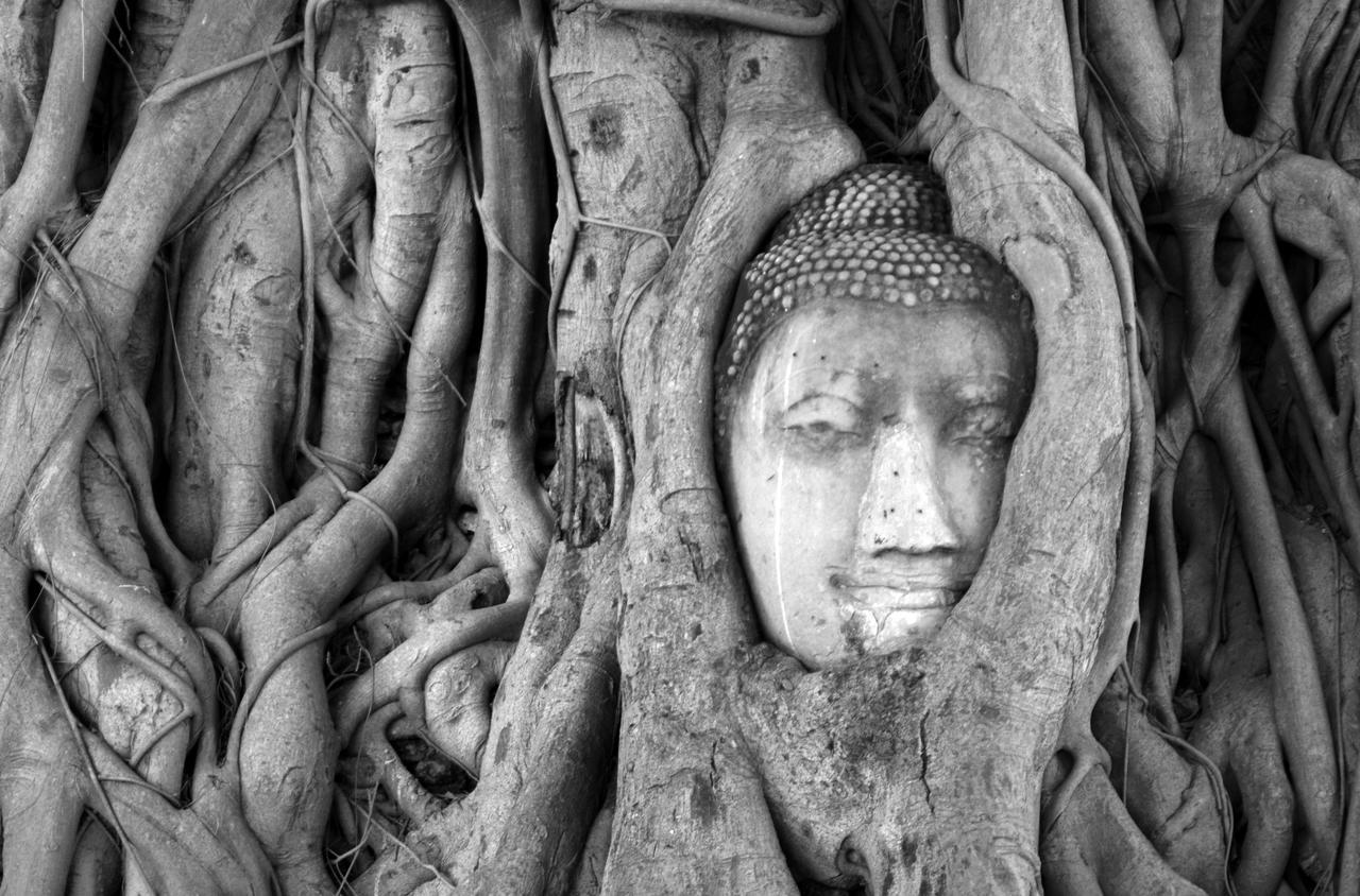 Banchan Hostel Phra Nakhon Si Ayutthaya Zewnętrze zdjęcie